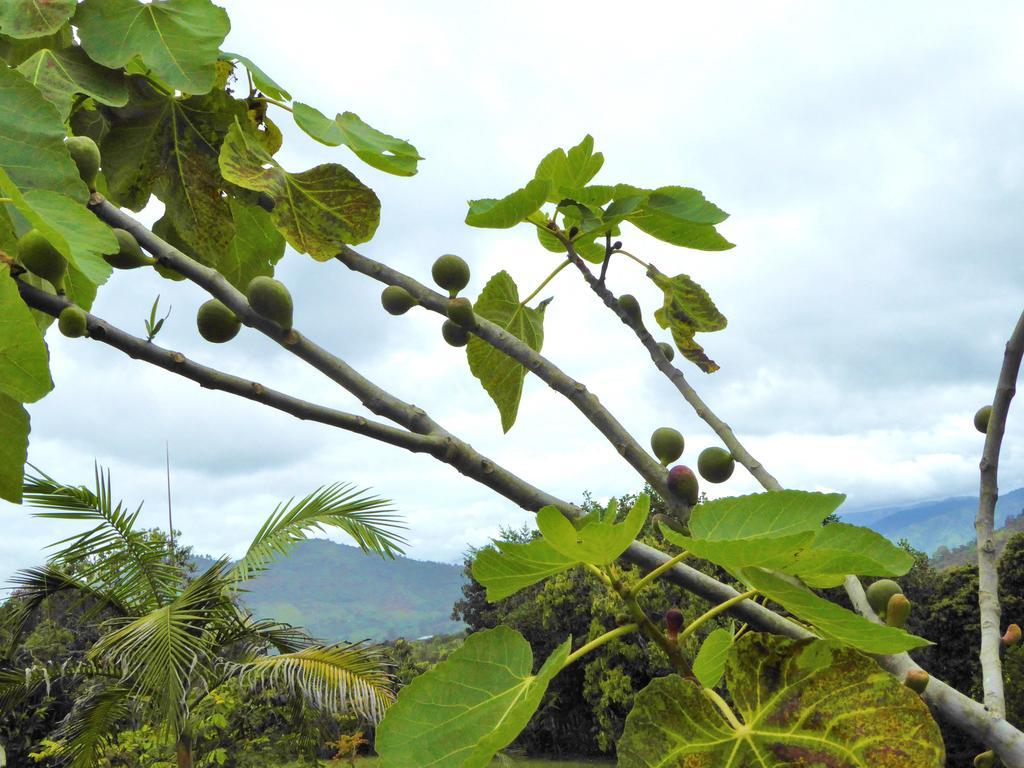 Finca El Cielo San Agustín Buitenkant foto