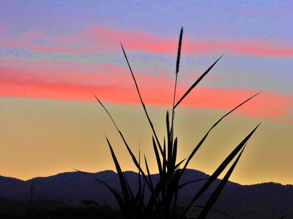Finca El Cielo San Agustín Buitenkant foto
